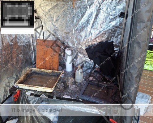 Entwicklung: Nach der Belichtung der Glas- oder Metall-platte sofort mit einer Lösung von Pyrogal-säure entwickelt.