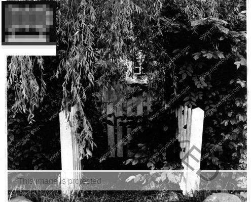 Gartentor, Alte Reihe 3, Zingst, Polymergravüre