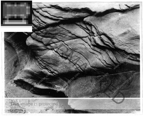 Krokodil, Little Daeth Hellow, Utah, USA, Polymergravüre