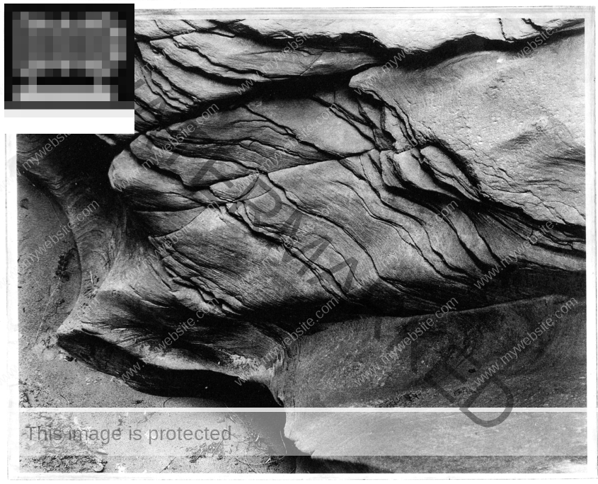 Krokodil, Little Daeth Hellow, Utah, USA, Polymergravüre